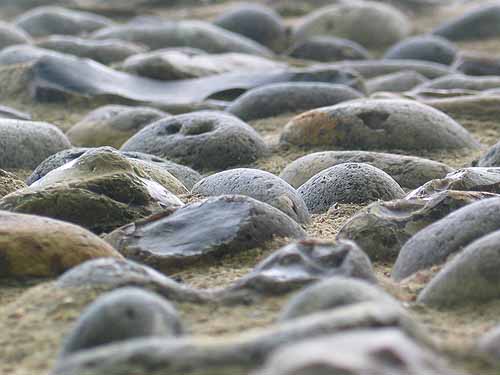 Flint wall Flint wall