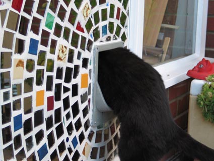 mosaic catflap