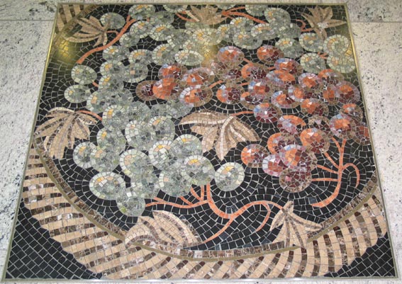 grapevine mosaic