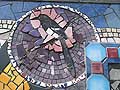 Mosaic magpie