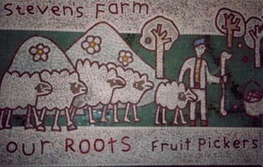 sheep and fruit pickers