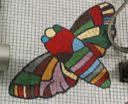 moth mosaic