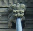 gargoyle