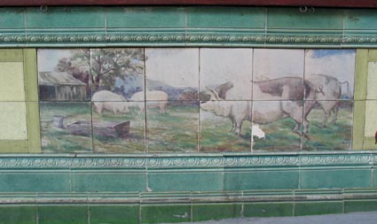 pig tiles