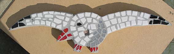 mosaic gull