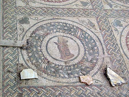 antelope mosaic