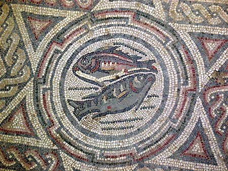 fish mosaic