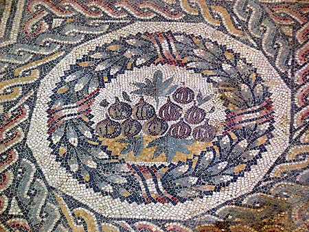 mosaic figs emblem