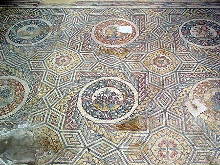 mosaic figs detail