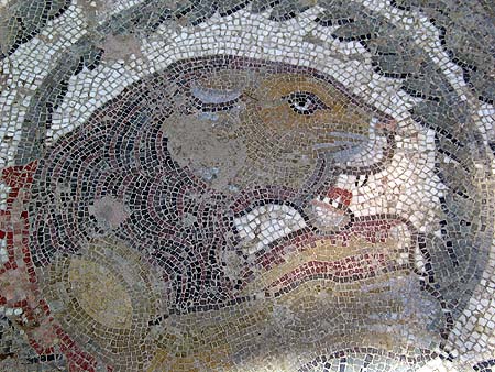 lion mosaic