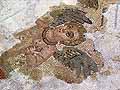 A winged cupid figure on the floor of the bath rooms