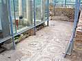 Corridor around the outside of the peristyle with animal head mosaics