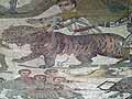 A captive tiger in the great hunt mosaic