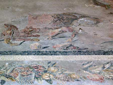 Mosaic of wild boar