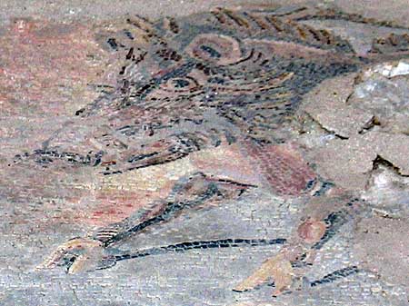 Detail of mosaic of wild boar